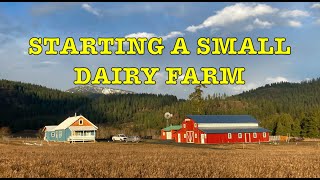 Starting a Small Dairy Farm Considerations and thoughts [upl. by Macdonald]