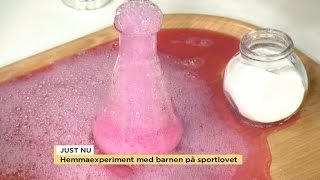 Testa skojiga experiment med barnen hemma  Nyhetsmorgon TV4 [upl. by Necyrb]