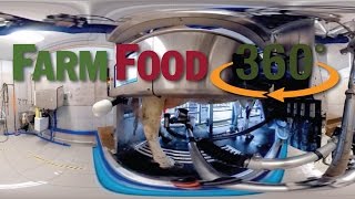 FarmFood360°  Voluntary Milking System Dairy Farm [upl. by Biebel819]