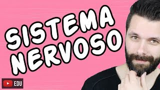 SISTEMA NERVOSO  FISIOLOGIA  Aula  Biologia com Samuel Cunha [upl. by Hashum]