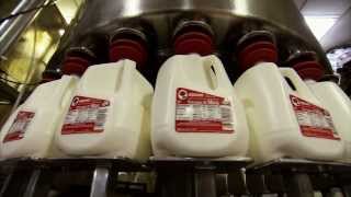 Dairy Special  Americas Heartland Episode 912 [upl. by Kcirrem]