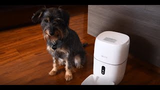 Nexxt Solutions  Dispensador inteligente de alimento para mascotas [upl. by Asin]