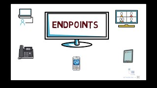 Network endpoints  Free CCNA 200301 [upl. by Walcott]