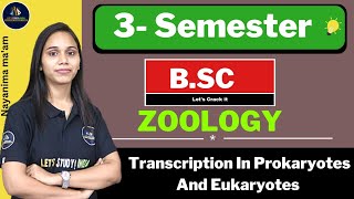 Transcription In Prokaryotes And Eukaryotes  BSc Zoology 3rd Semester  Nayanima Maam [upl. by Castor4]