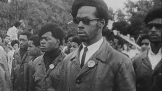 Who Were The Black Panthers Its Complicated  Newsy [upl. by Retha]