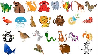 Animal Alphabet [upl. by Bezanson661]