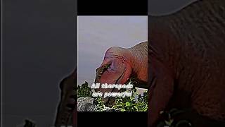 All Theropods Are Powerful  TRex edit [upl. by Lenneuq]